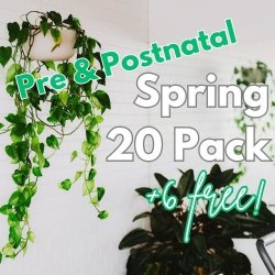 Pre & Postnatal Spring Special 20 Pack (+6 bonus classes)