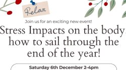 Stress Impacts on the body, how to sail through the end of the year!