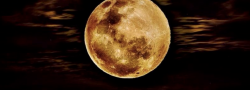 Full Moon Yoga Feature