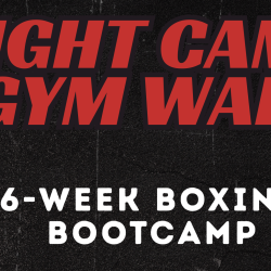 FIGHT CAMP - GYM WARS
