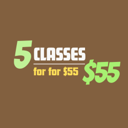New client Sampler 5 classes $55
