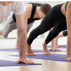 2 x week Membership ($55 p/week)