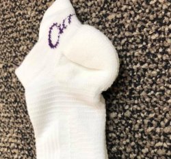 Curves White Socks (AU)